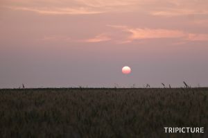 c83-Brittany sunset.jpg